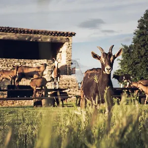 Le Domaine Du Castellas Gasthof