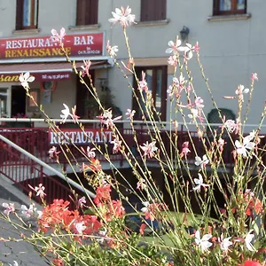 https://la-renaissance.hotels-rhonealpes.com