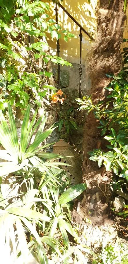 Bed and Breakfast La Cordeline Brignoles